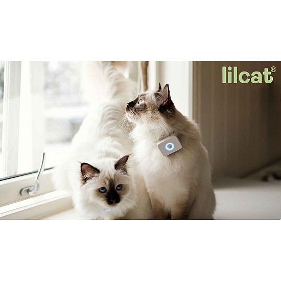 Lilcat 5G Αδιάβροχο GPS Tracker & Cat Activity Monitor GPS Γάτας Λευκό