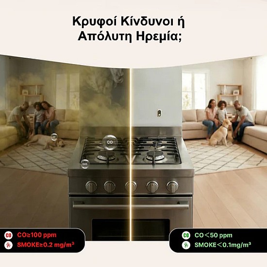 ανιχνευτής διαρροής αερίου και μονοξειδίου