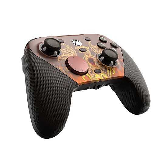 Dragons Dogma 2 controller