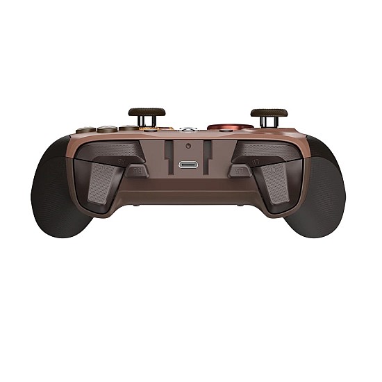 Dragons Dogma 2 controller