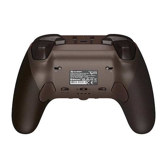Dragons Dogma 2 controller