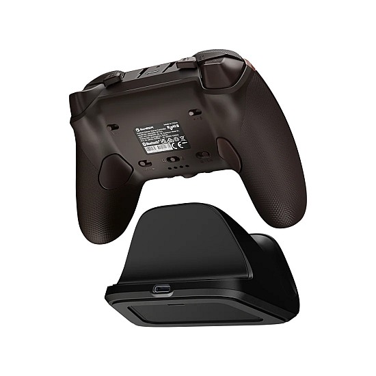Dragons Dogma 2 controller
