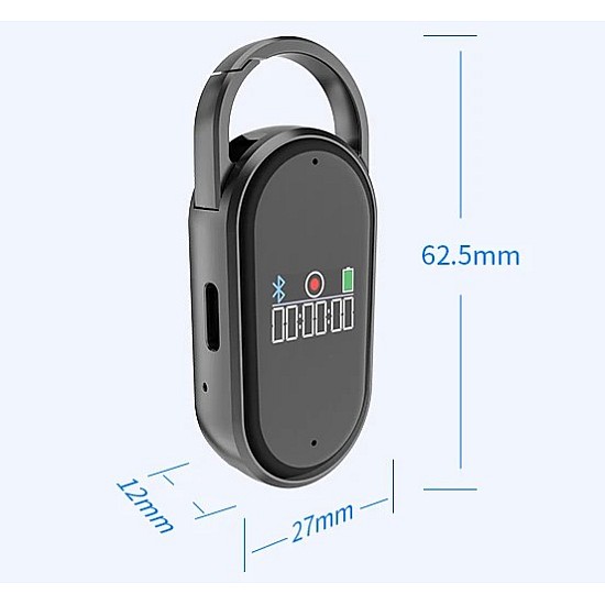 Καταγραφικό Ήχου με Απομαγνητοφώνηση