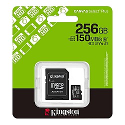 Kingston microSD 256GB