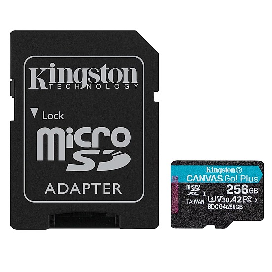 Kingston microSD 256GB V30