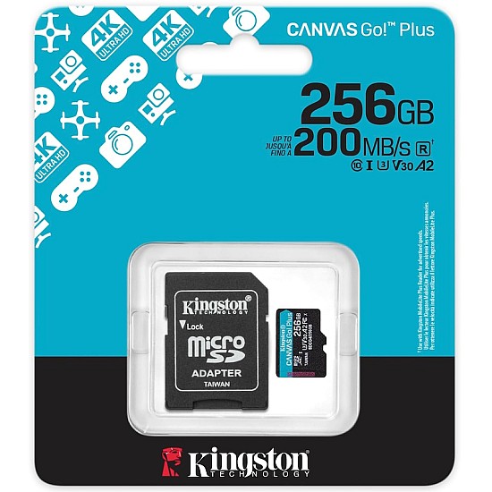 Kingston microSD 256GB V30
