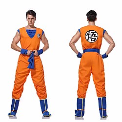 Στολή Songoku