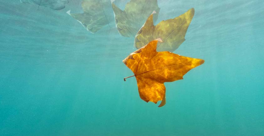 Συμβουλές για χρήση Action Camera