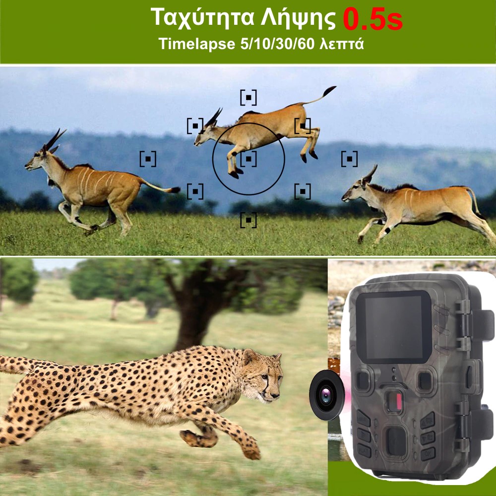 κάμερα για παρατήρηση άγριας ζωής