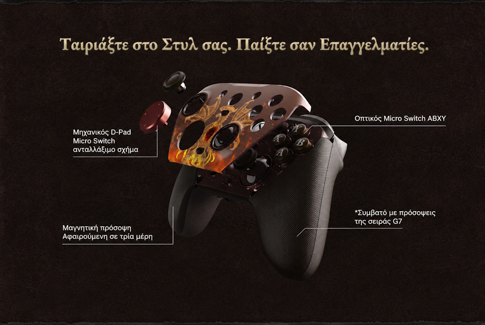Dragons Dogma 2 controller