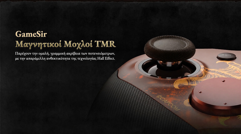 Dragons Dogma 2 controller