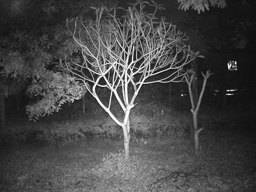 mini κάμερα κυνηγιού